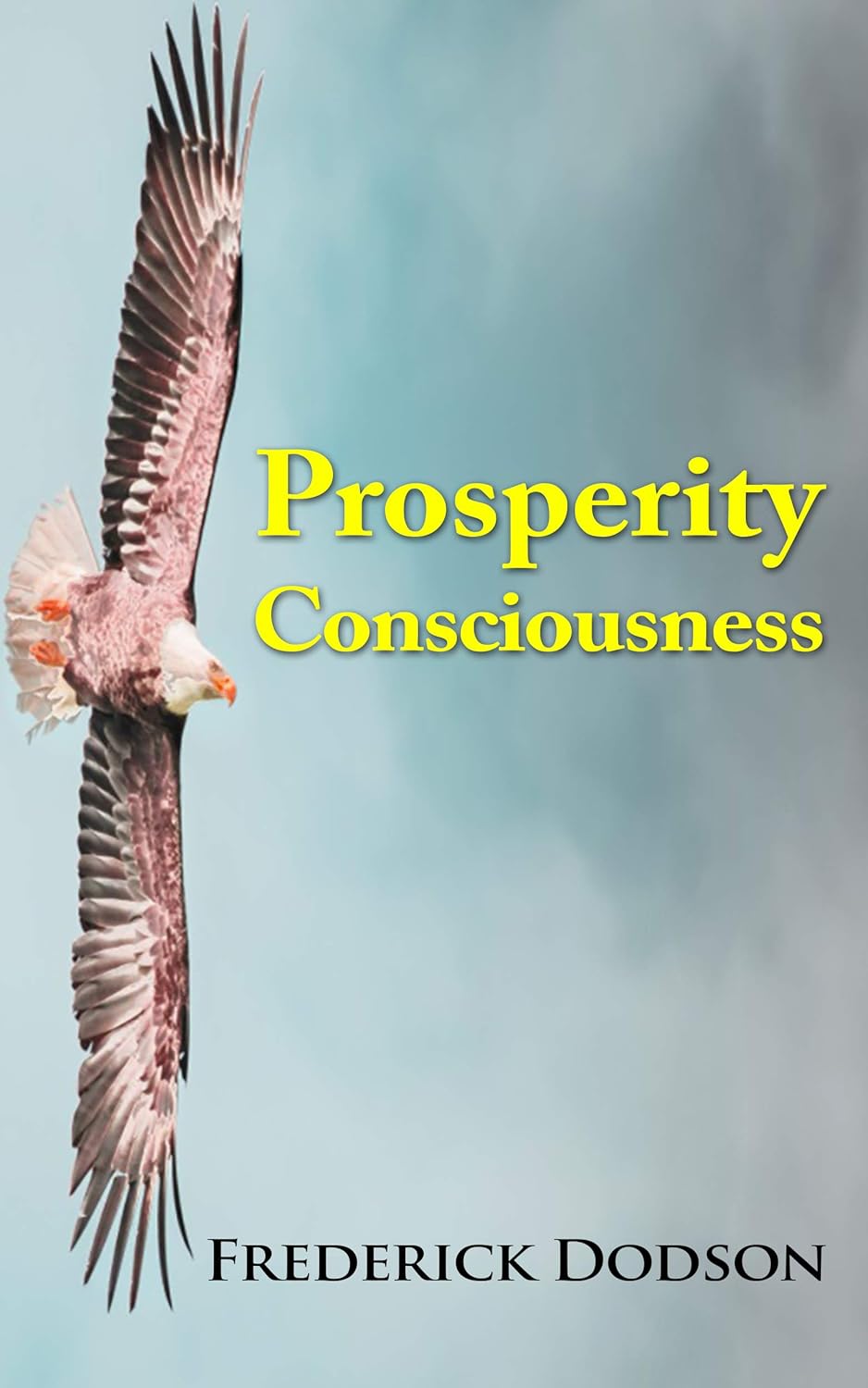 Prosperity Consciousness