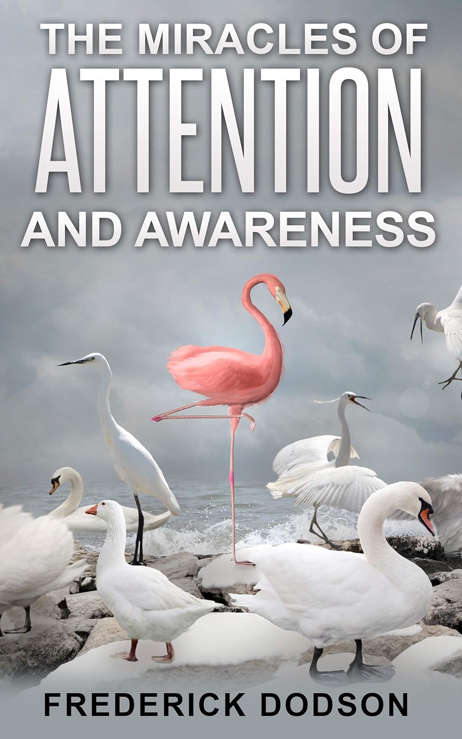 The Miracles of Attention and Awareness