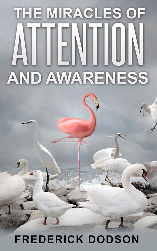 The Miracles of Attention and Awareness