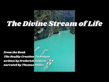 The Reality Creation Technique